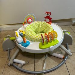Fisher Price Baby Bouncer