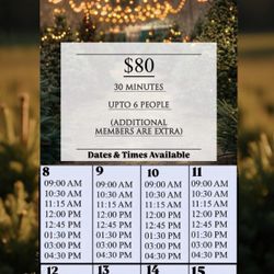 Holiday photographer