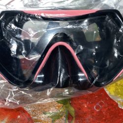 Swimming/Snorkeling Gear