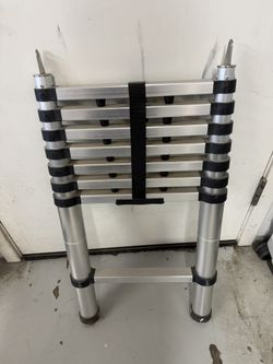 Collapsible Ladder