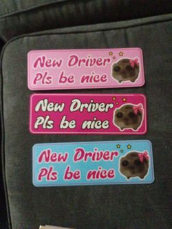 Car Magnets