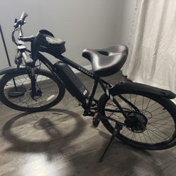 Hollandia Ourea Electric Bike