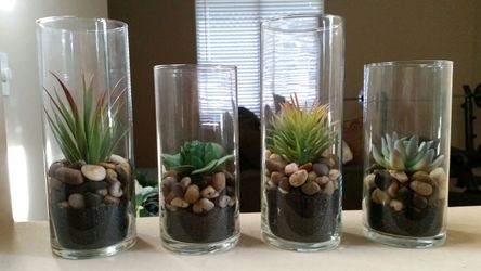 12 wedding/event succulent vases