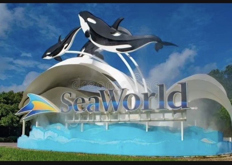 Sea World One Day Tickets