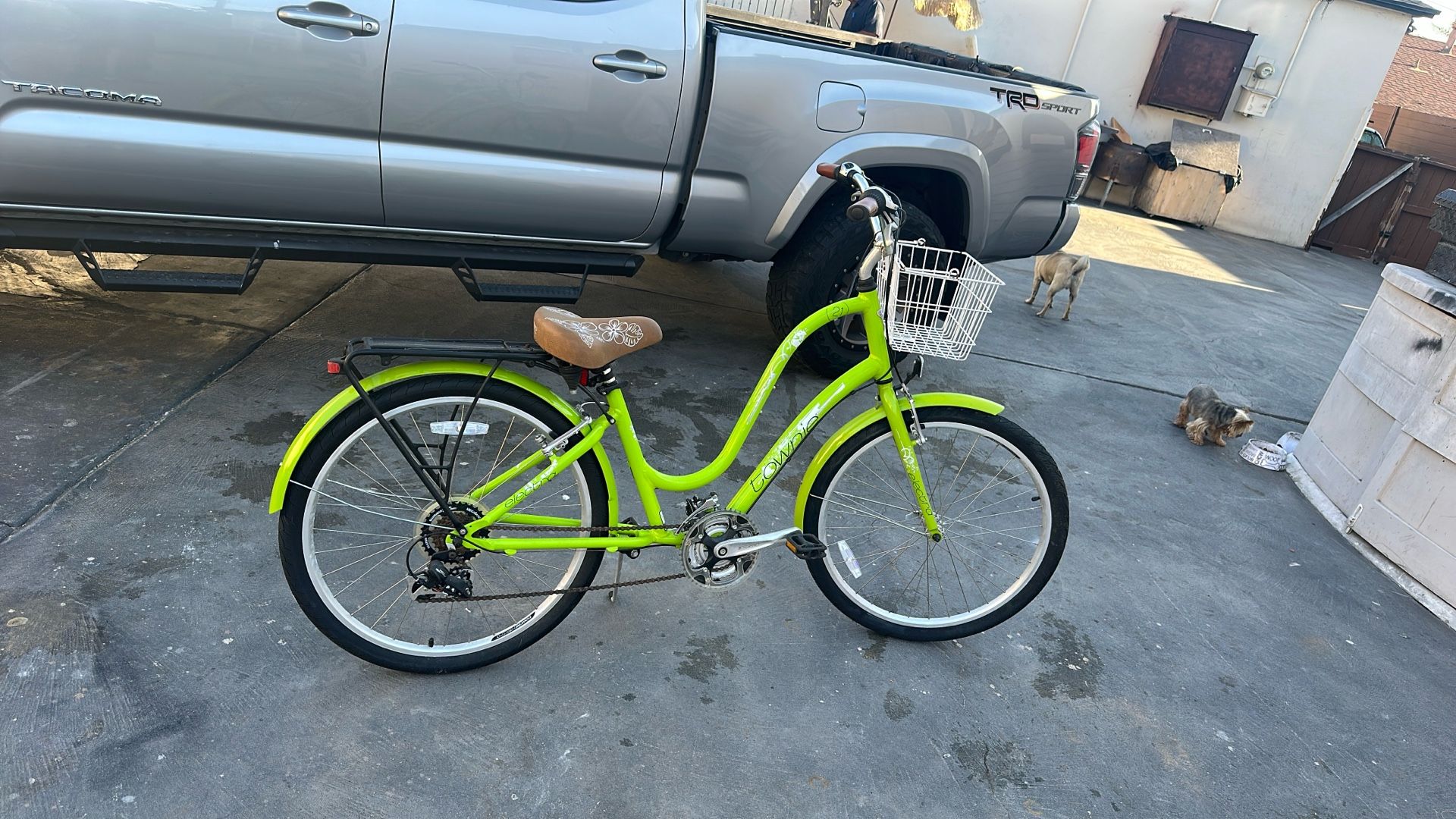 Electra Townie Bike