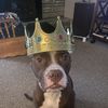 Katie