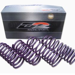 D2 Racing Lowering Sport Springs Lower Drops 2 In New for 02-04 Acura RSX D-SP-AC-11