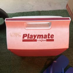 igloo personal cooler