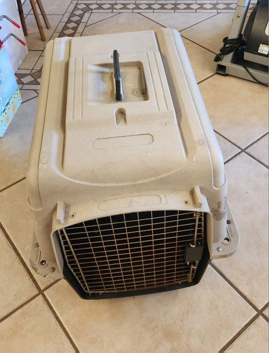 Medium Dog Kennel