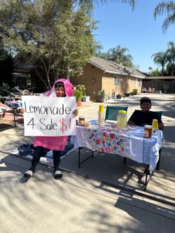 yard sale/ lemonade stand