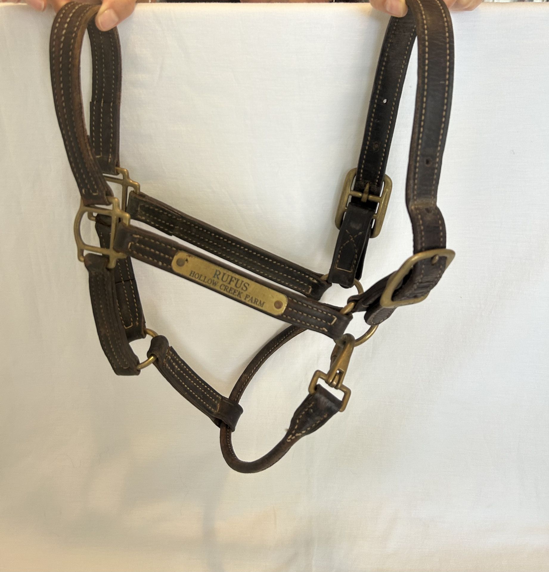Horse Tack Walsh