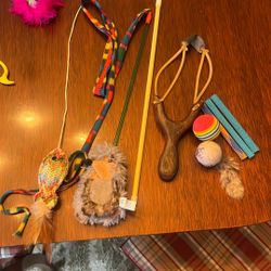 Misc. Gently Used Cat Toys FREE