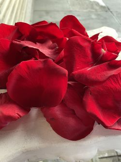 Rose Petals , Petalos De Rosas $20 La Bolsa