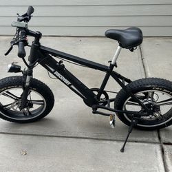 E-Bike Discovery Fat Tire 