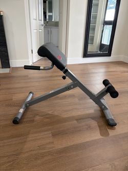 Roman Chair Adjustable Height, Folds Flat for Storage, Built in Dip Station, Targets Back, Abs & Core, Crunches & Back Extensions