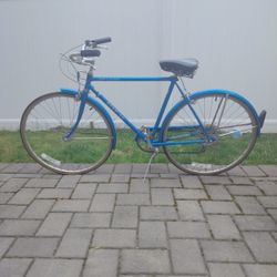 Schwinn World Tourist 