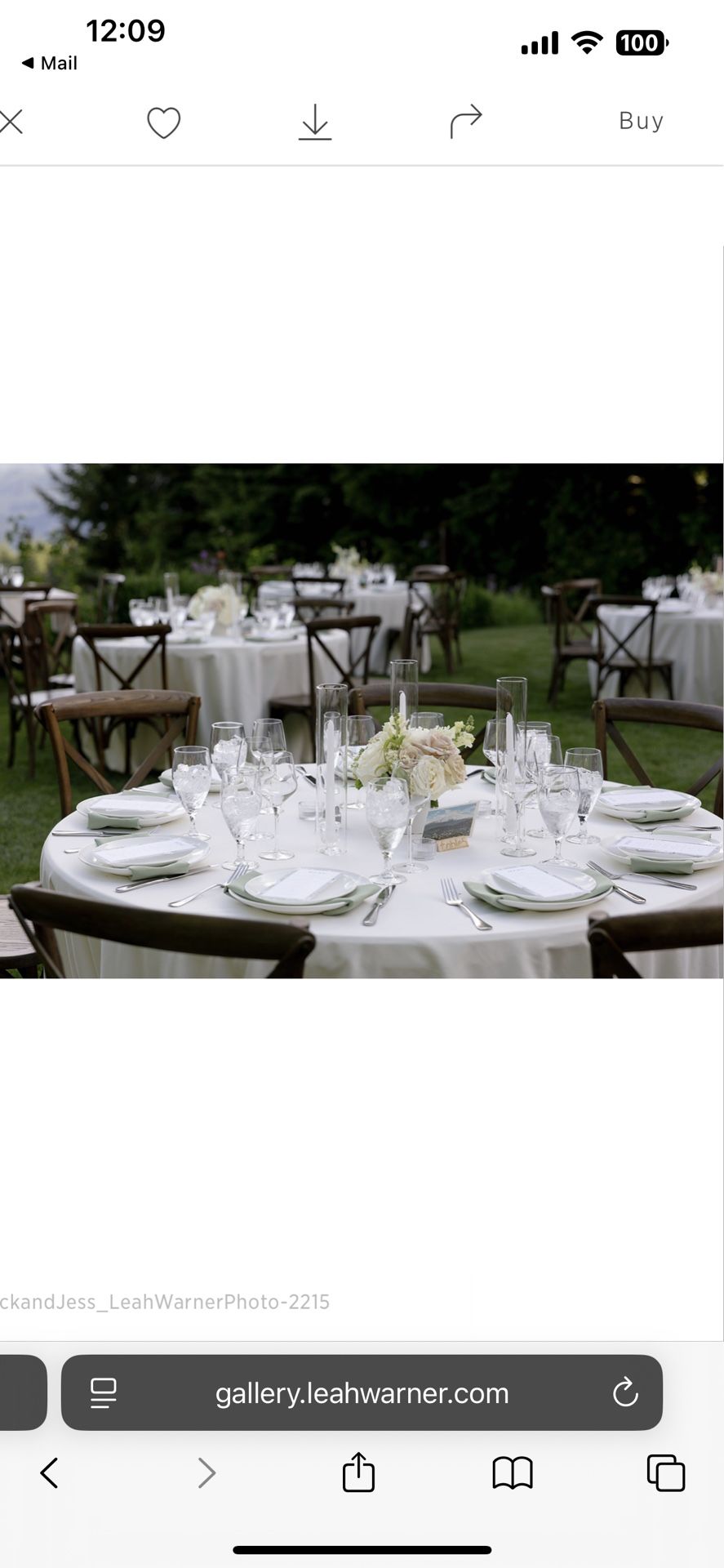 Table Cloths