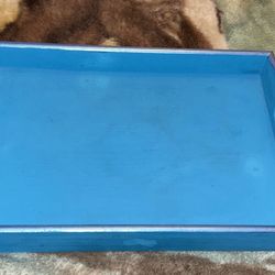 Painted Tray 