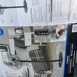 Pedestal Fan