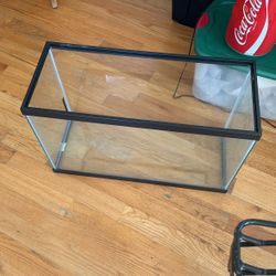 Fish Tank 