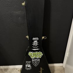 Epiphone Flying V Case