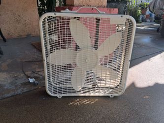 Fan