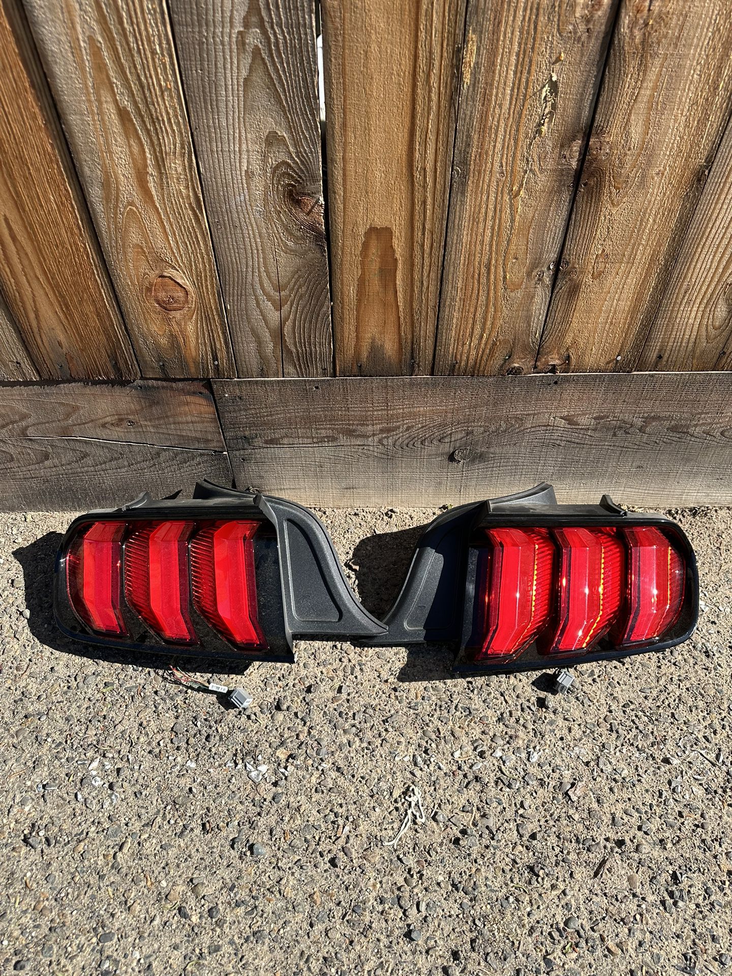 OEM 2018-23 Mustang Taillights