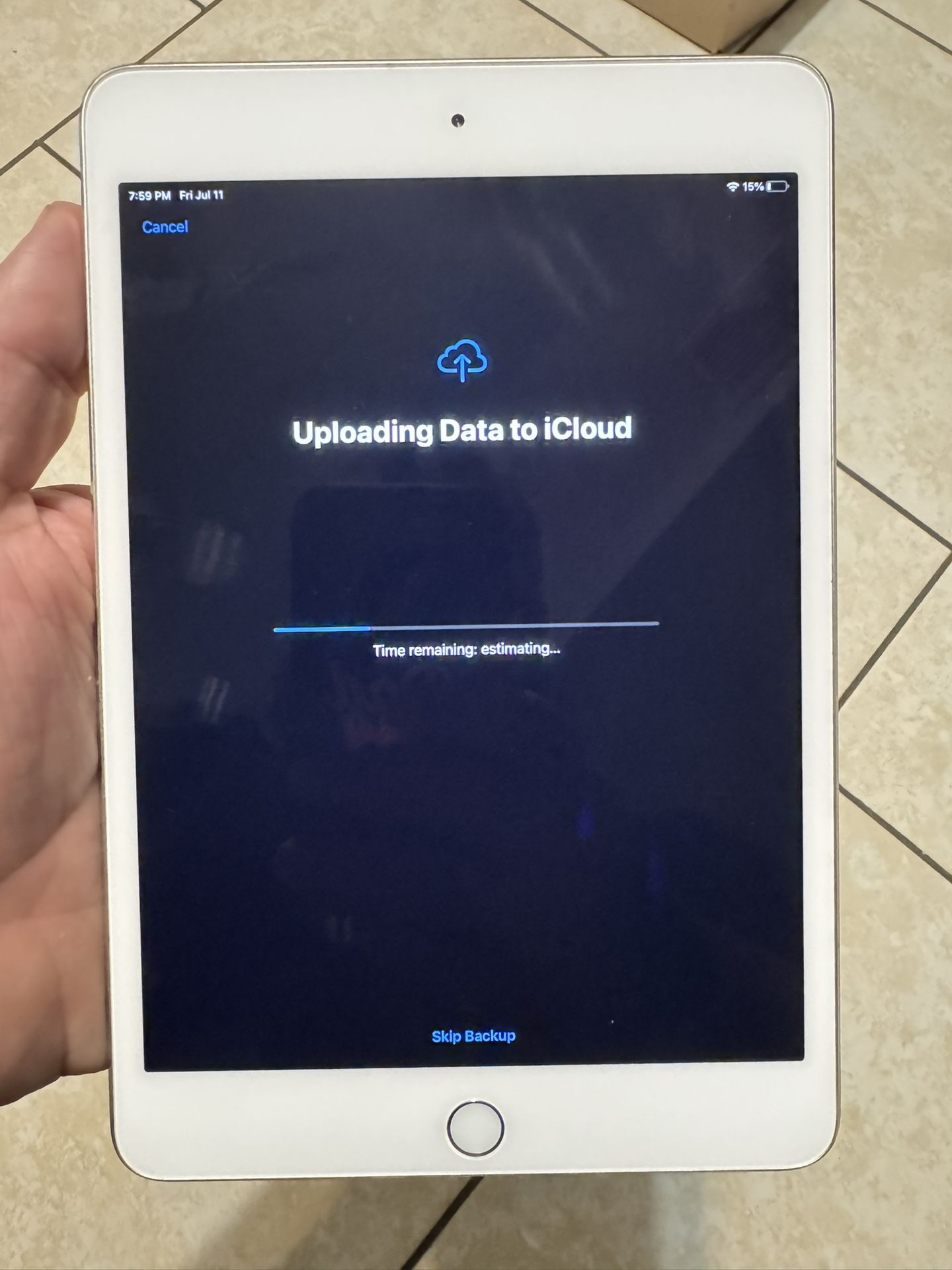 Apple iPad Mini 4 A1538