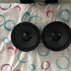 10in Skar Speaker x2 (Used)