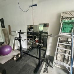 Adjustable Squat Rack And Dip Machine With Two Barbells 