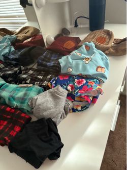 small breed dog clothes bundle