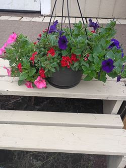 Hanging basket