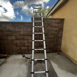 Telescopic Ladder