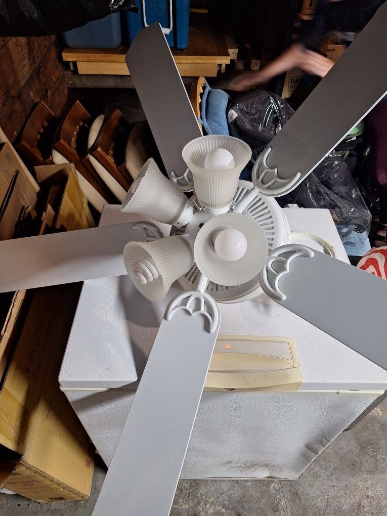 Free Ceiling Fan And Light