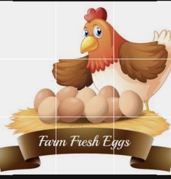 Fresh Eggs