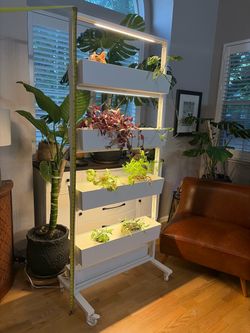 4 tier plant stand with led grow lights