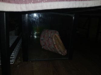 small animal/reptile and rodent supplies