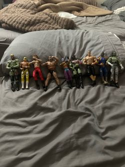 Wwe toys cheek description
