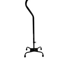 Cane