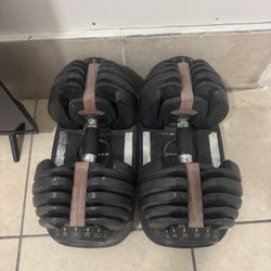Dumbbells Bowflex 