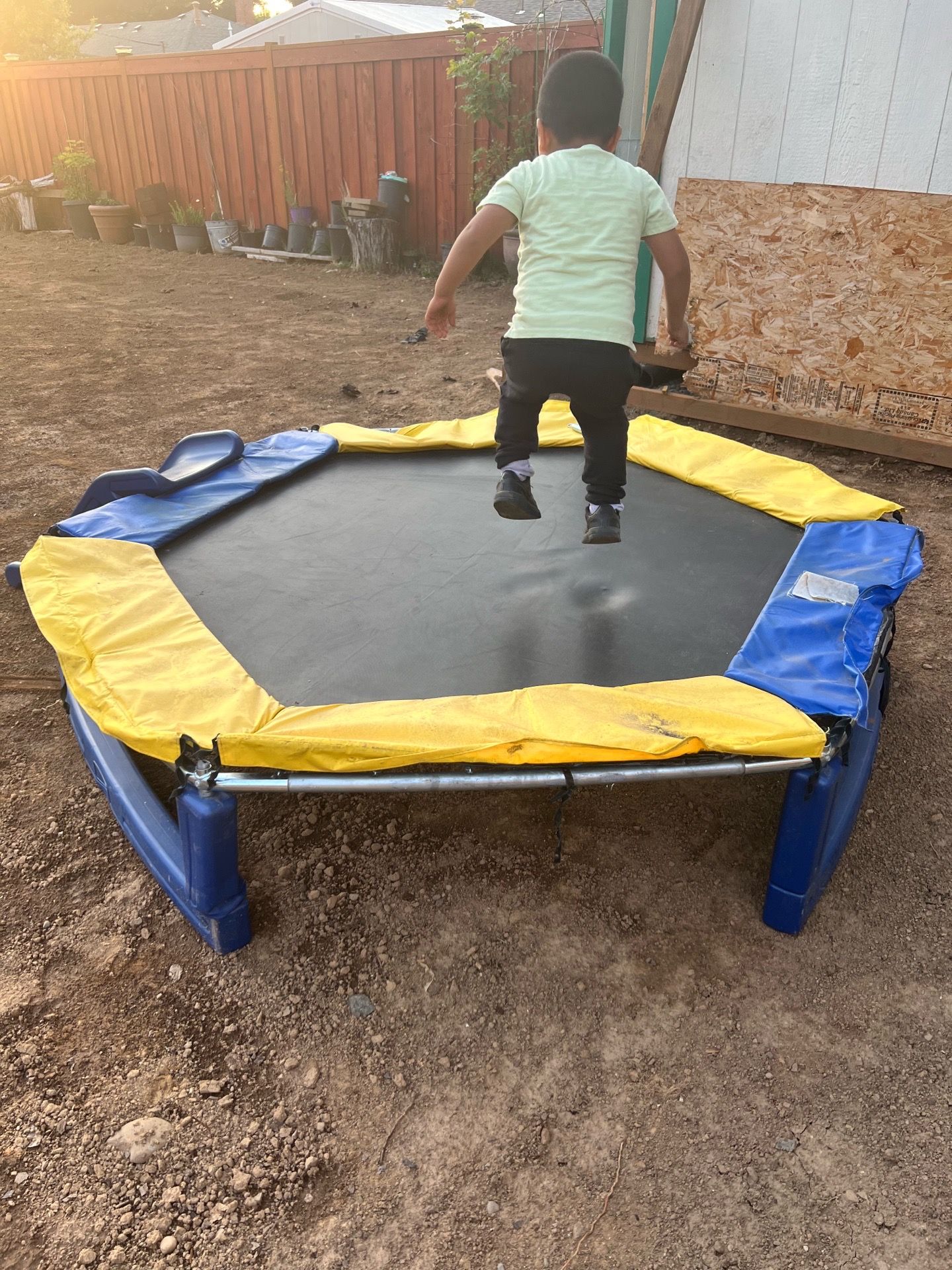 Free Kids Trampoline