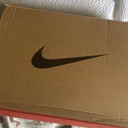 Air Jordan 12 Retro Flu Game 2025