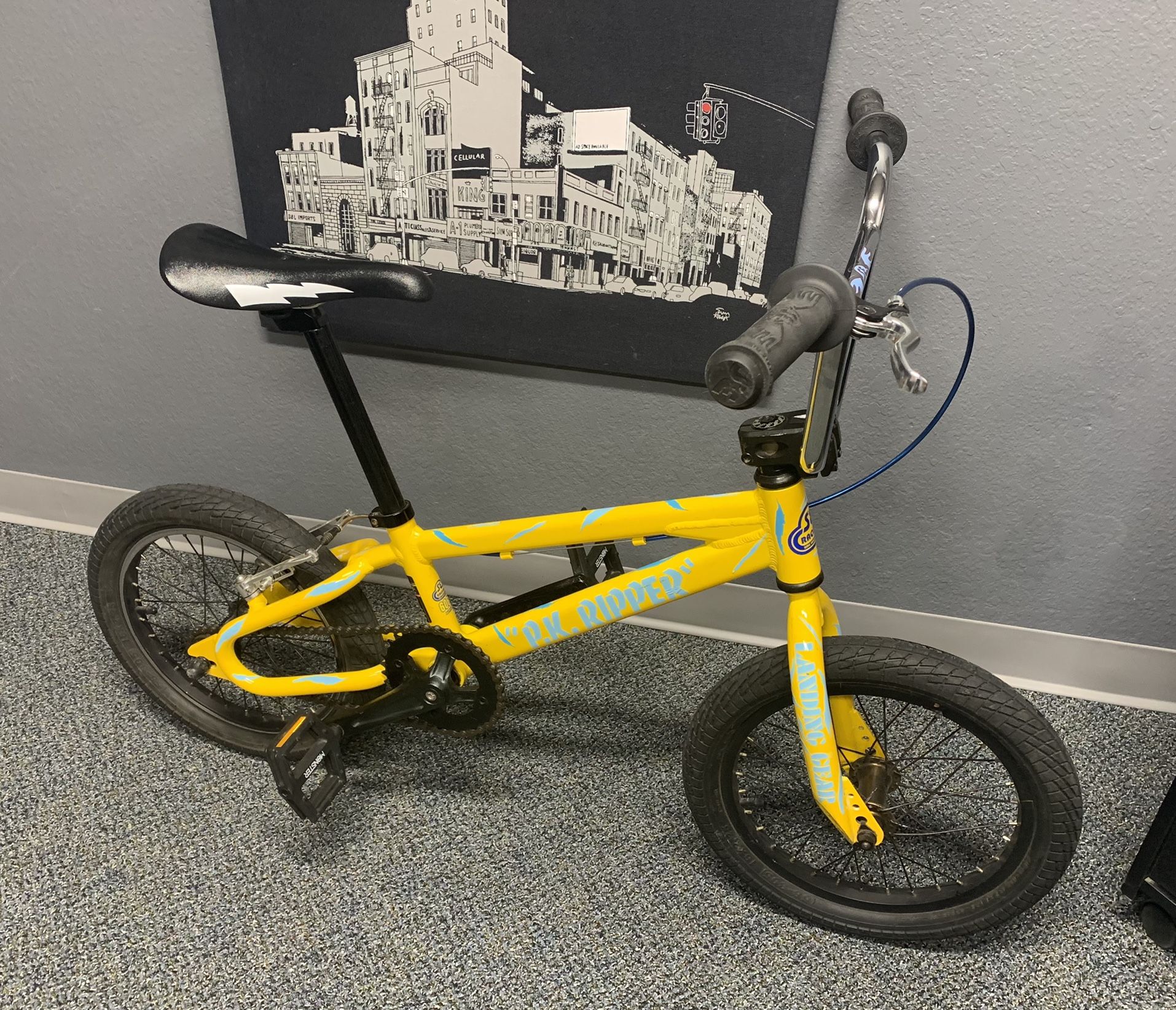 SE Pit Bike PK Ripper 16” BMX Santa Cruz Decals