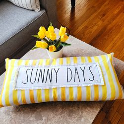 Decorative Bright Fun Pillow And Flower Pot Combo