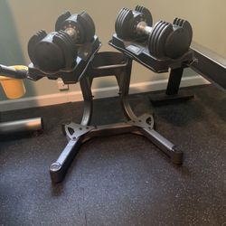 Dumbbell Set With Stand.