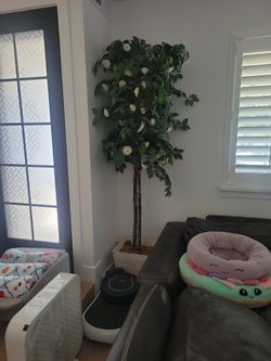 Fake Tree