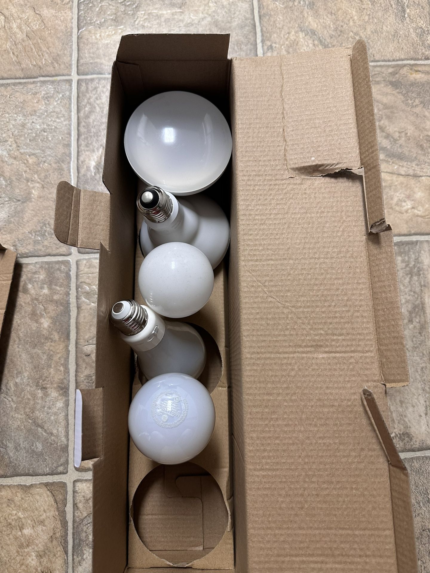 Led Bulbs