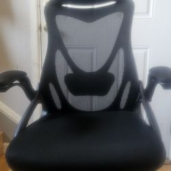 Ren Sheng Ergonomic Office Chair