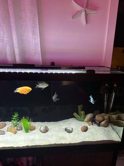 Aquarium