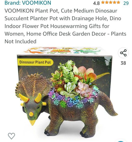 Dino Succulent Plant Pot